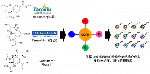 圖2：以現有抗流感藥物的結構為基礎，進行多樣性藥物分子庫的合成。