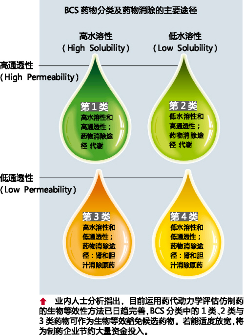 /BCS藥物分類及藥物消除的主要途徑