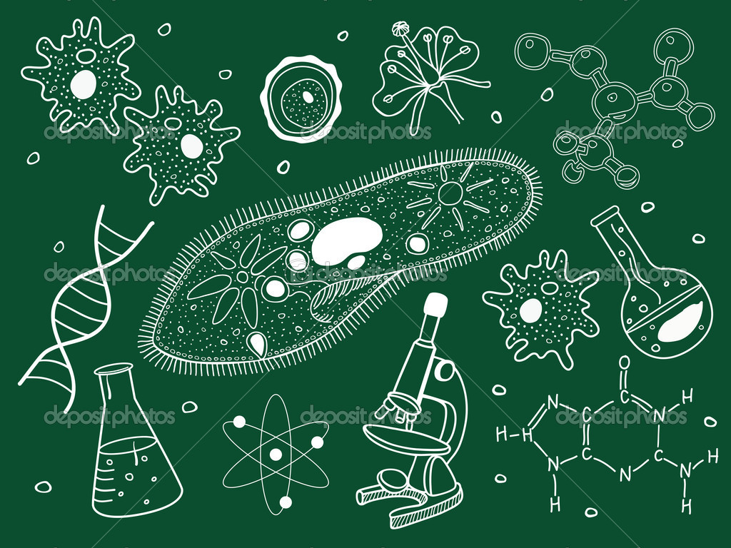 Nature：科學家找到殺死抗藥細菌的新靶點