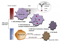 淺析：ADC藥物的抗癌之路