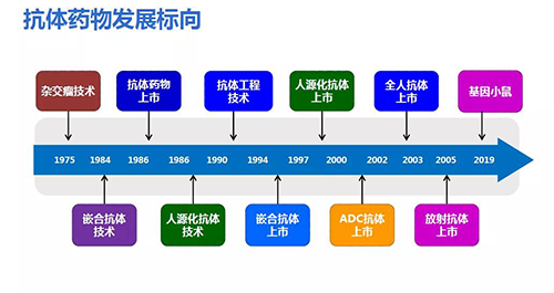 抗體藥物發展標向