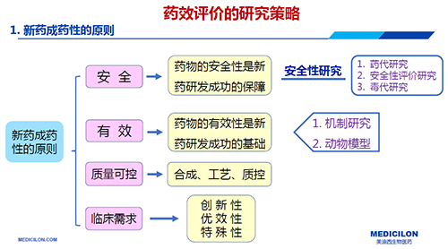 新藥成藥性的原則