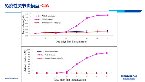 免疫性關節炎模型