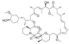 雷帕黴素新製劑用於罕見病，獲4500萬美元融資