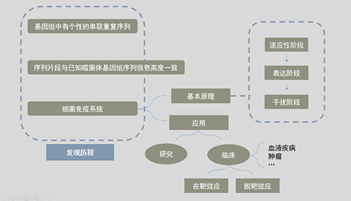 CRISPR基因編輯技術