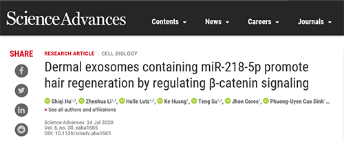 《Science Advances》上發表了一篇關於脫發的最新研究進展