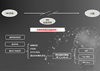 人工合成NT類脂質開放血腦屏障，為CNS藥物打開新局麵