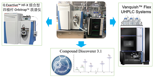 hjc黄金城UHPLC-UV-QE HF-X係統