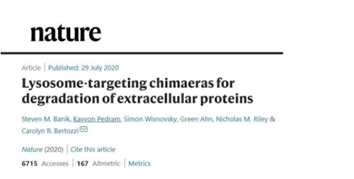 一種不同的蛋白降解技術——溶酶體靶向嵌合體（lysosome-targeting chimaeras, LYTACs）