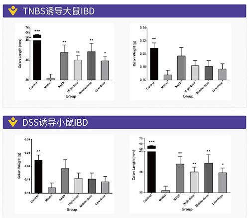 TNBS誘導的大鼠IBD、DSS誘導的大鼠IBD