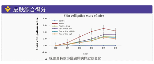 咪喹莫特致小鼠銀屑病樣皮膚變化