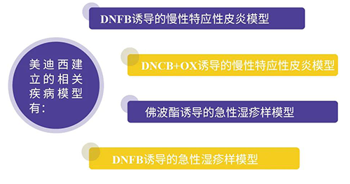 hjc黄金城建立的特應性皮炎及濕疹模型