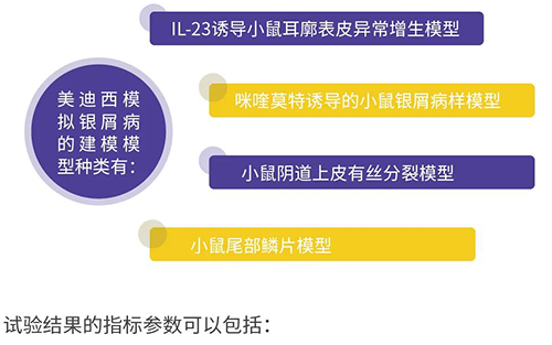 hjc黄金城模擬銀屑病的建模模型種類