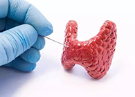 【Science速遞】揭開甲狀腺的神秘麵紗，開啟代謝藥物新征程