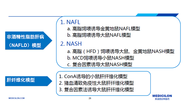 NASH動物模型