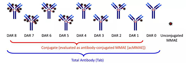 藥物抗體比-(DAR).png