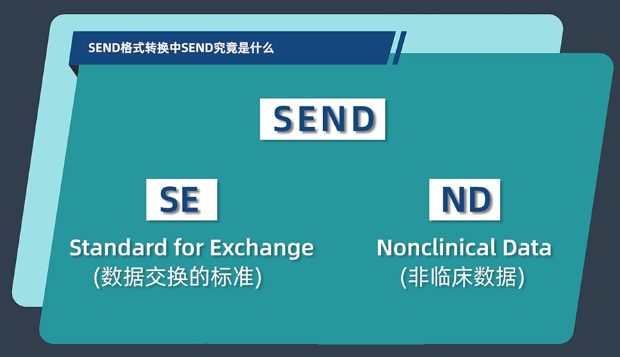 SEND格式轉換中的SEND究竟是什麽？