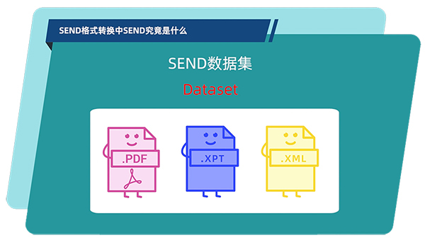 SEND數據集的構成.jpg