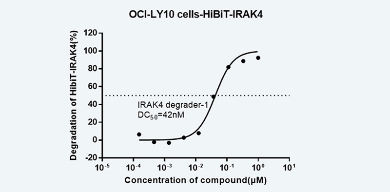 檢測HiBiT-IRAK4-過表達-OCI-LY10-細胞中-HiBiT-IRAK4-的降解百分比.png