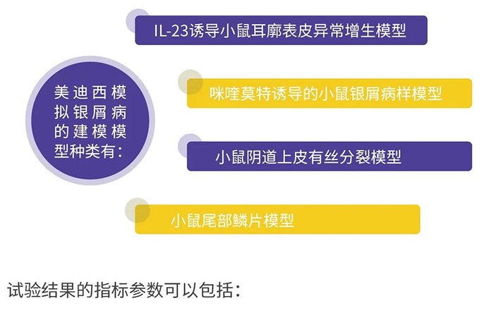 hjc黄金城模擬銀屑病的建模模型.png