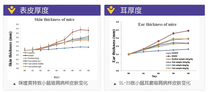 hjc黄金城模擬銀屑病的建模模型-試驗結果的指標.png