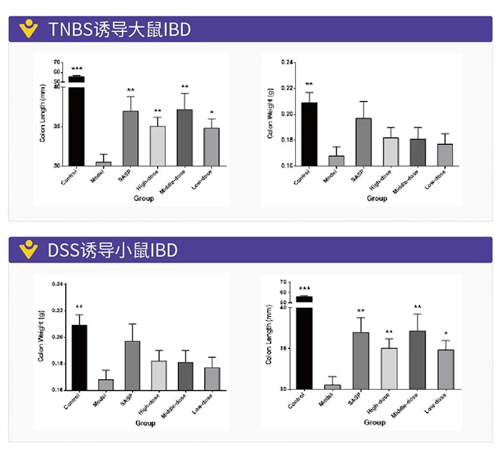 TNBS誘導的大鼠IBD和DSS誘導的小鼠IBD.png