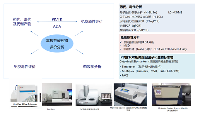 核酸藥物生物分析項目及涉及試驗設備.png