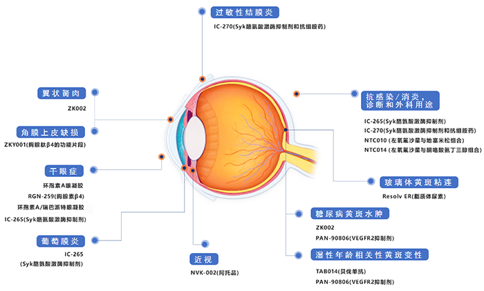 兆科眼科創新藥物管線.png