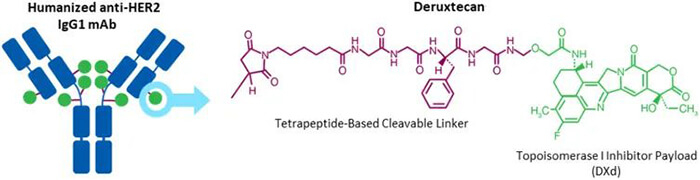 Trastuzumab-deruxtecan-(DS-8201)-結構.jpg