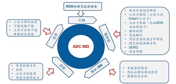 ADC藥物研發曆程.jpg