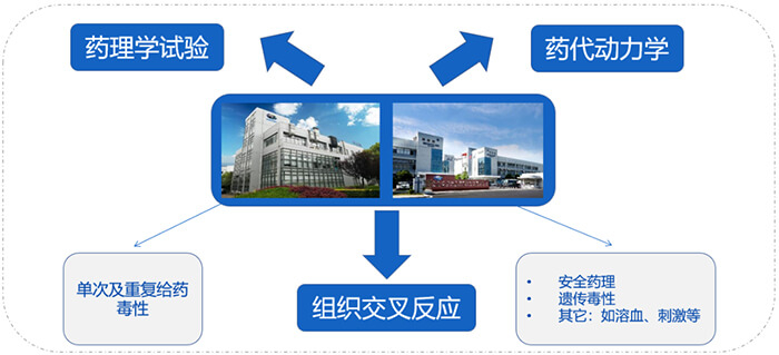 hjc黄金城ADC藥物研發服務內容.jpg