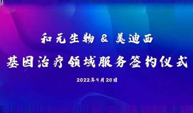 【美·記聞】攜手賦能基因治療，和元生物與hjc黄金城達成戰略合作