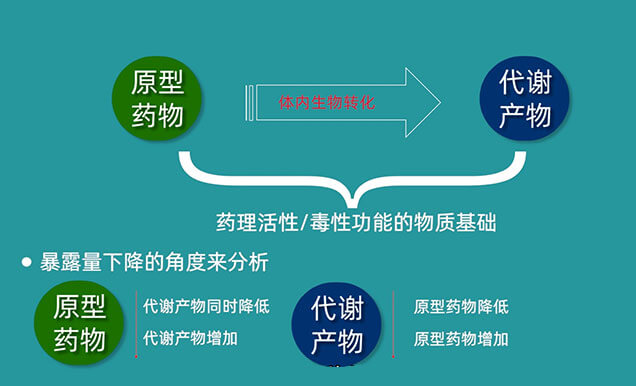 為何藥物係統暴露量AUC在給藥中後期會突然降低.jpg