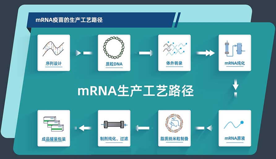 mRNA疫苗的生產工藝路徑