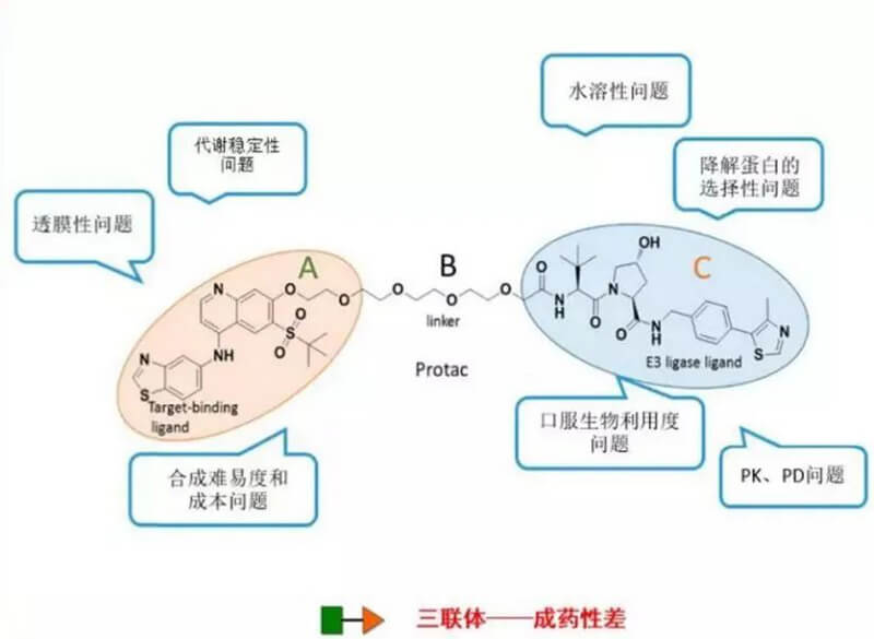 PROTAC分子量較大，溶解性較差.jpg