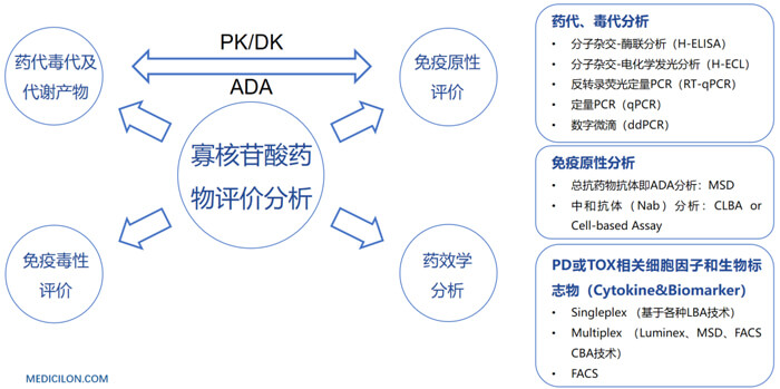 10-核酸藥物生物分析.jpg