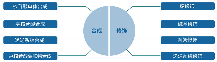 hjc黄金城核酸藥物研發服務平台.jpg