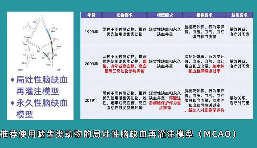 袁雲雲博士：齧齒類動物腦卒中疾病藥效成藥性評價係統（2）.jpg