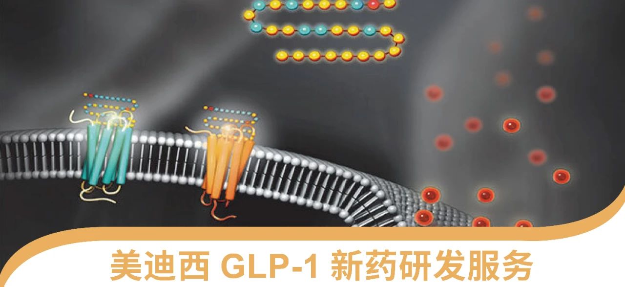 hjc黄金城一站式 丨 “GLP-1”新藥研發服務能力介紹