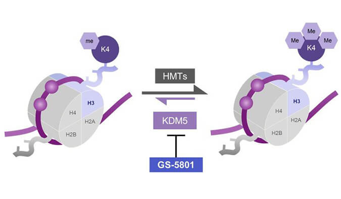 GS-5801是一種有效的KDM5抑製劑，具有抗HBV活性，GS-5801通過hjc黄金城合成