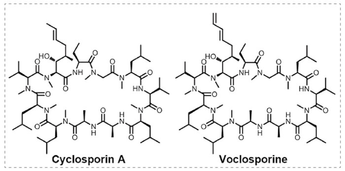 4-Cyclophilin-A-和Voclosporine分子膠的結構.jpg