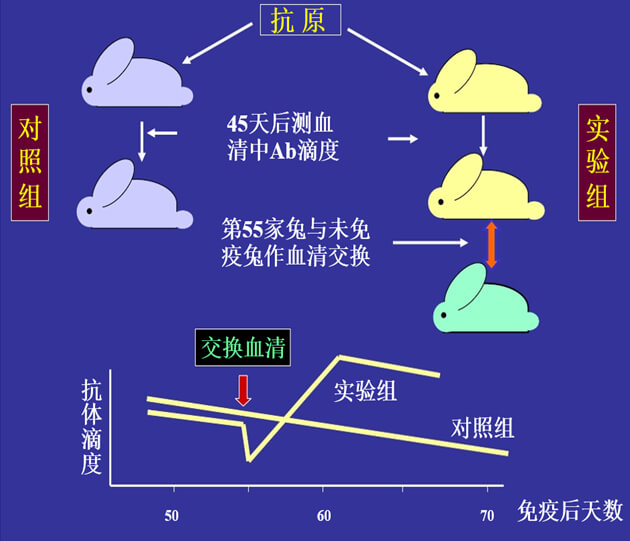 Figure-1：機體對抗體濃度變化的感知與反饋性自我調節.jpg