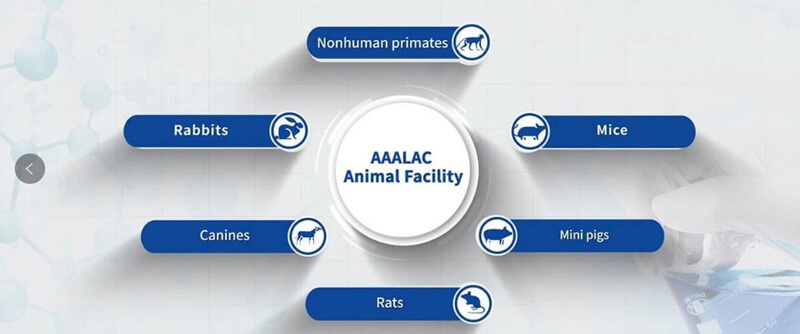 hjc黄金城臨床前研究實驗室通過國際實驗動物評估和認可（AAALAC）.jpg