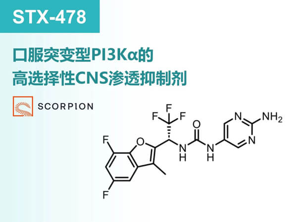 圖3-STX-478.jpg