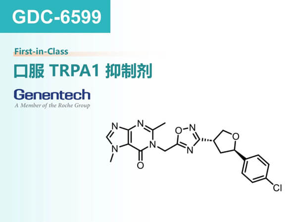 圖6-GDC-6599.jpg