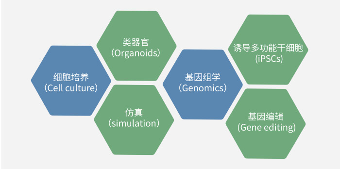 六大技術板塊已上線，持續升級中.jpg