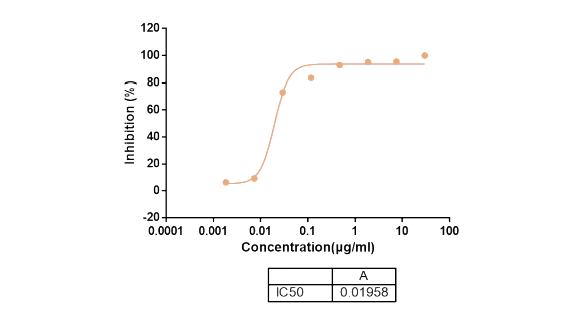 抗體的功能性實驗-4.png