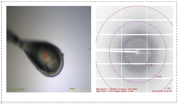 共晶的X射線衍射數據.png