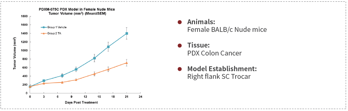   Medicilon Case: PDX -- KRAS Mutation (G12D)