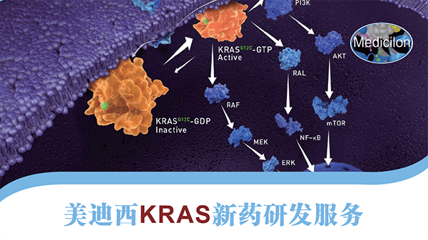 KRAS新藥研發服務